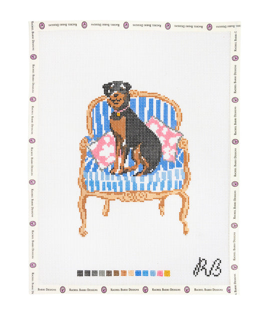 Respectable Rottie