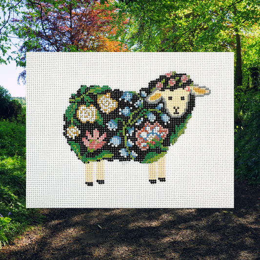 Shirley the Sheep